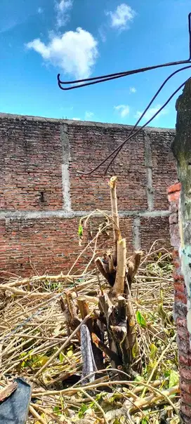 Dijual Rumah Hitung Tanah Kranggan Surabaya Pusat