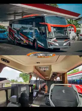 Sewa big bus dan medium bus