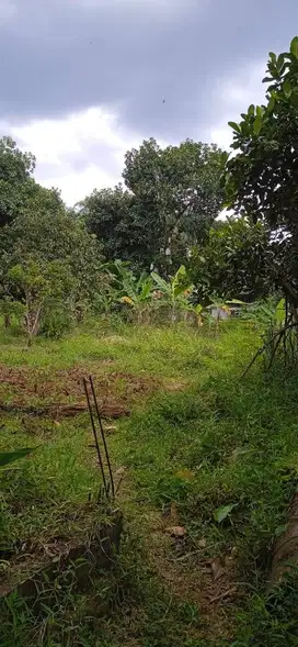 Tanah Kalisuren 1000m2