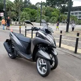 TRICITY MULUS TERBAIK