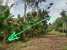 Tanah Pekarangan