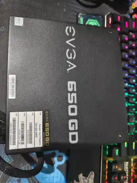 PSU EVGA 650 GD