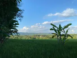 JUAL TANAH DI KALIBAWANG KULONPROGO VIEW SAWAH DAN GUNUNG