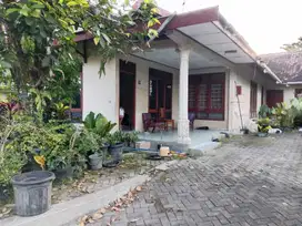 Bissmillah Dijual Rumah Harga Murah Karena BU Lokasi Sleman