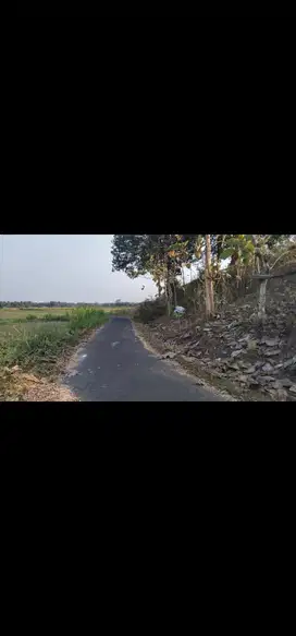JUAL TANAH DI BANJARARUM KALIBAWANG KULONPROGO VIEW SAWAH