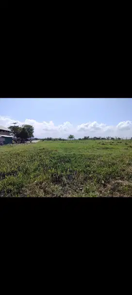 Di jual tanah los pantai kelating 19 are hrga 650 jt/ are