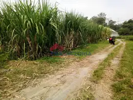 Tanah Sawah DIJUAL Di Kembangan, Ngasem, Kab Kediri