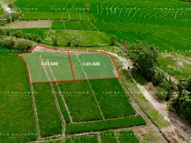 PRIME FREEHOLD LAND IN KERAMBITAN WITH HIGH INVESTMENT POTENTIAL