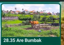 Jual Lahan di Bumbak Kerobokan