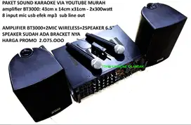 AMPLIFIER BT3000+2MIC WIRELESS