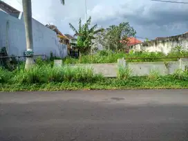 Tanah poros papa biru strategis 300 meter ke raya bunga cengkeh