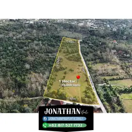Dijual tanah Freehold Jln Tunjung Ungasan - Lskt