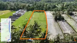 Prime 3.130 sqm of Leasehold Land with Stunning Rice Field Views Ubud