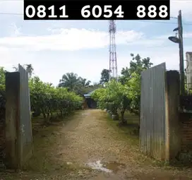JL KARYA WISATA SIMP. JL SIDOBAKTI DEKAT HUBDAM I BB