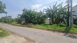 Tanah Strategis Siap Bangun Perumahan Elite di Kadilangu Baki Solo