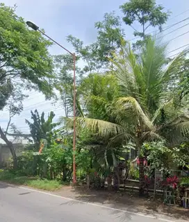 TANAH 11426 KALIPURO BANYUWANGI
