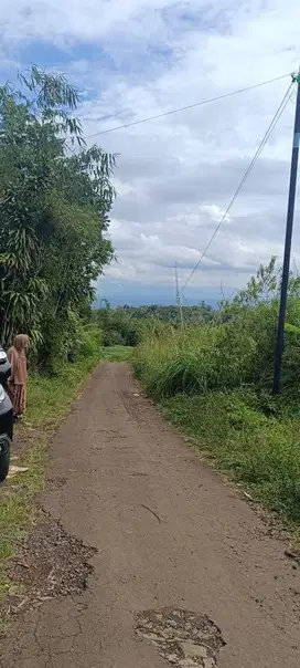 Jual Tanah Kebun Lokasi Menarik