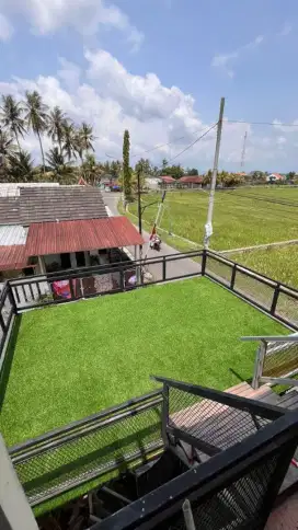 Rumput Sintetis | rumput murah | Rumput Indoor Outdoor