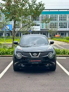 Nissan Juke Rx At 2011