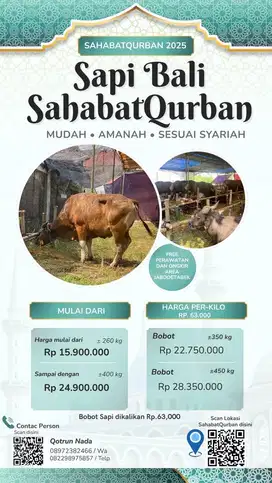 JUAL SAPI BALI 63 RIBU PERKILO
