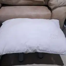 Bantal king koil original sudah dilaundry tinggal pakai