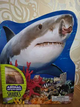 Buku anak anak 3D