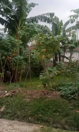 Tanah Kav Royal 3 Akasia Cipondoh kota Tgr