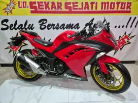 Ninja 250 2016 istimewah