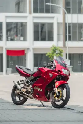 Kawasaki Ninja RR OLD