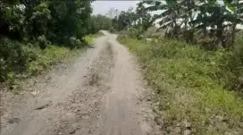 Tanah kebun & sawah 7Ha - 10Ha Cikawung Terisi Indramayu