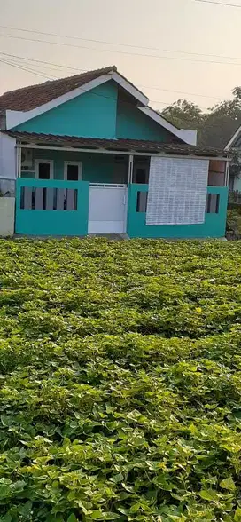 Di jual cepat rumah cantik dan Astri Akses motor