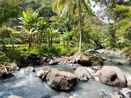 JUAL TANAH DI GIRIMULYO KULONPROGO VIEW SUNGAI DAN SAWAH