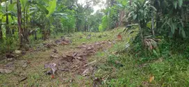 Jual tanah murah di tanjungrasa jonggol bogor