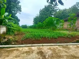 Tanah Pekarangan Gaum Tasikmadu dekat Intanpari Waterpark