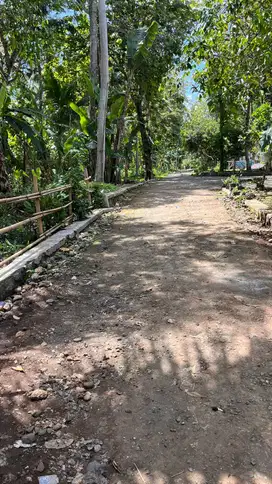JUAL TANAH DI WIJIMULYO NANGGULAN KULONPROGO