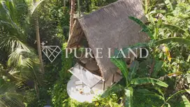 1BR Jungle Villa – Forest Haven in Ubud