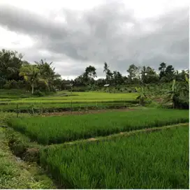 Di jual tanah view sawah dan gunung