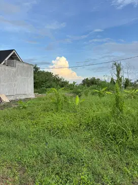 Jual Lahan 3 Are di Singapadu Ubud