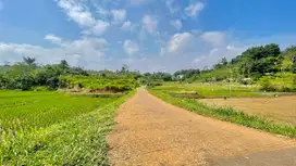 Tanah Sawah Pinggir Jalan Dekat Tol Darangdan Purwakarta Dijual Murah