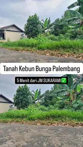 Dijual Tanah Kosong 300m Kebun Bunga