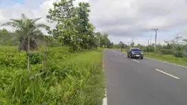 Jl. Mahir Mahar Kelampangan UK. 150x350 SHM (Ahmad Dody)