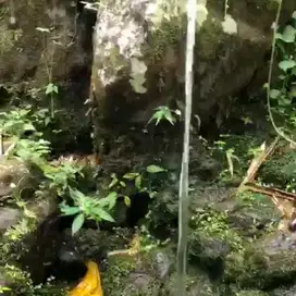 Tanah murah berisi sumber mata air di tabanan