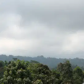 Tanah murah di baturiti bedugul tabanan