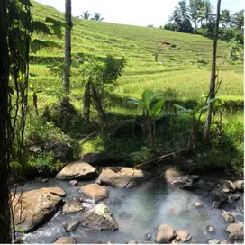 Kebun produktif Los sungai view sawah