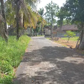 LAHAN BAGUS DENGAN JUNGLE VIEW DI GLOGOR, UBUD - BALI