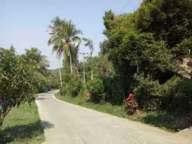 Dijual Tanah Kebun Murah Dekat Exit Tol Darangdan Purwakarta