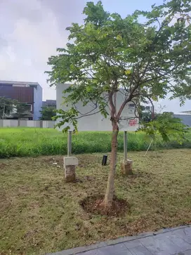 DISEWAKAN KAVLING KOMERSIL AT PIK 2   LOKASI STRATEGIS DEKAT MCD.