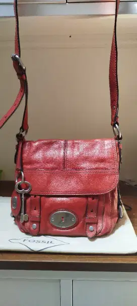 Tas fossil Maddox