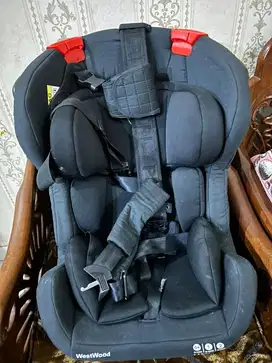 Car seat baby does