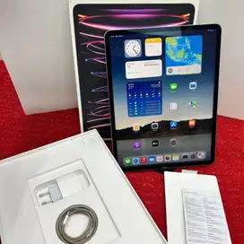 Ipad Pro 12,9 inch, Gen 6 128 gb Wifi Only
